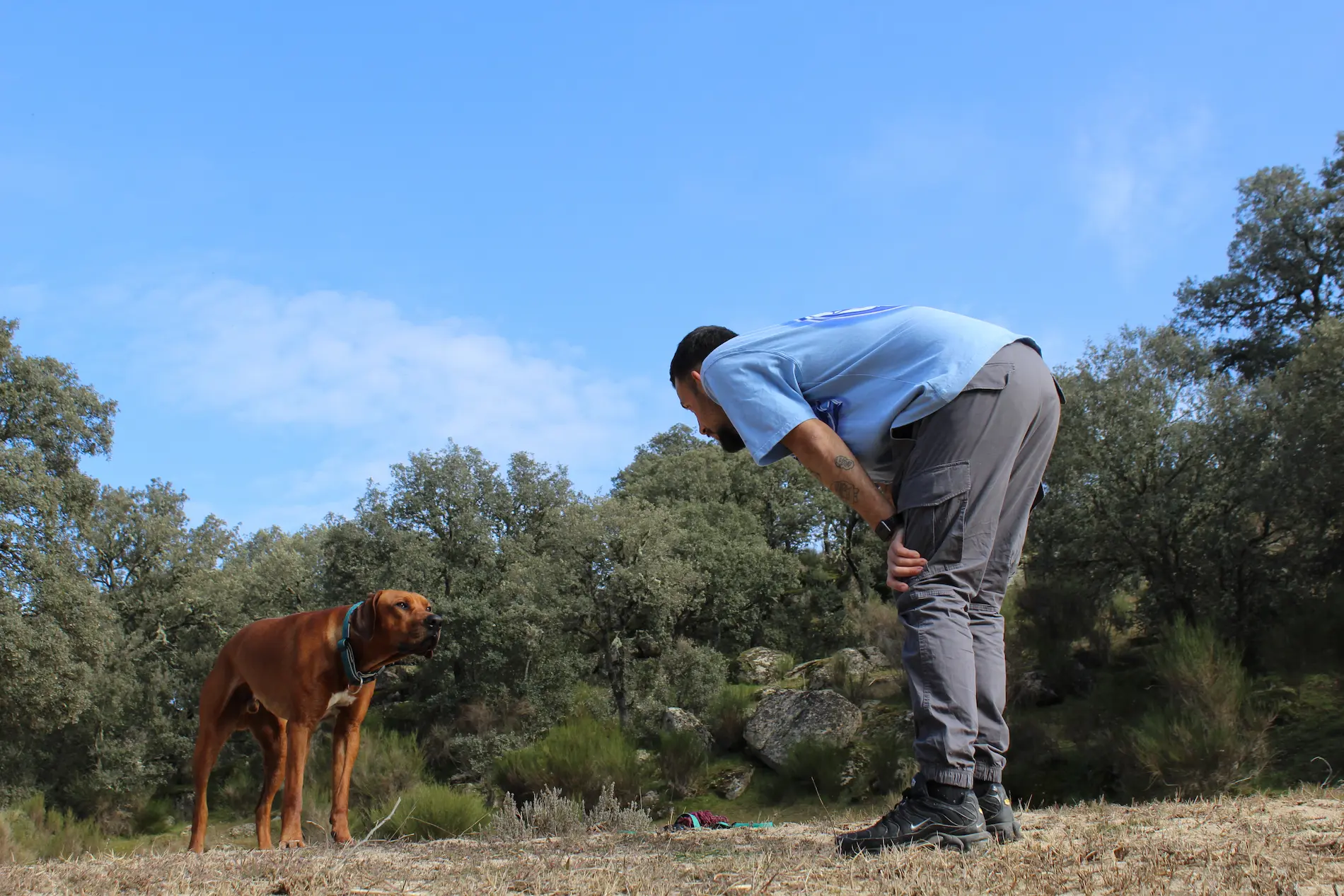 Educador Canino en Salamanca
