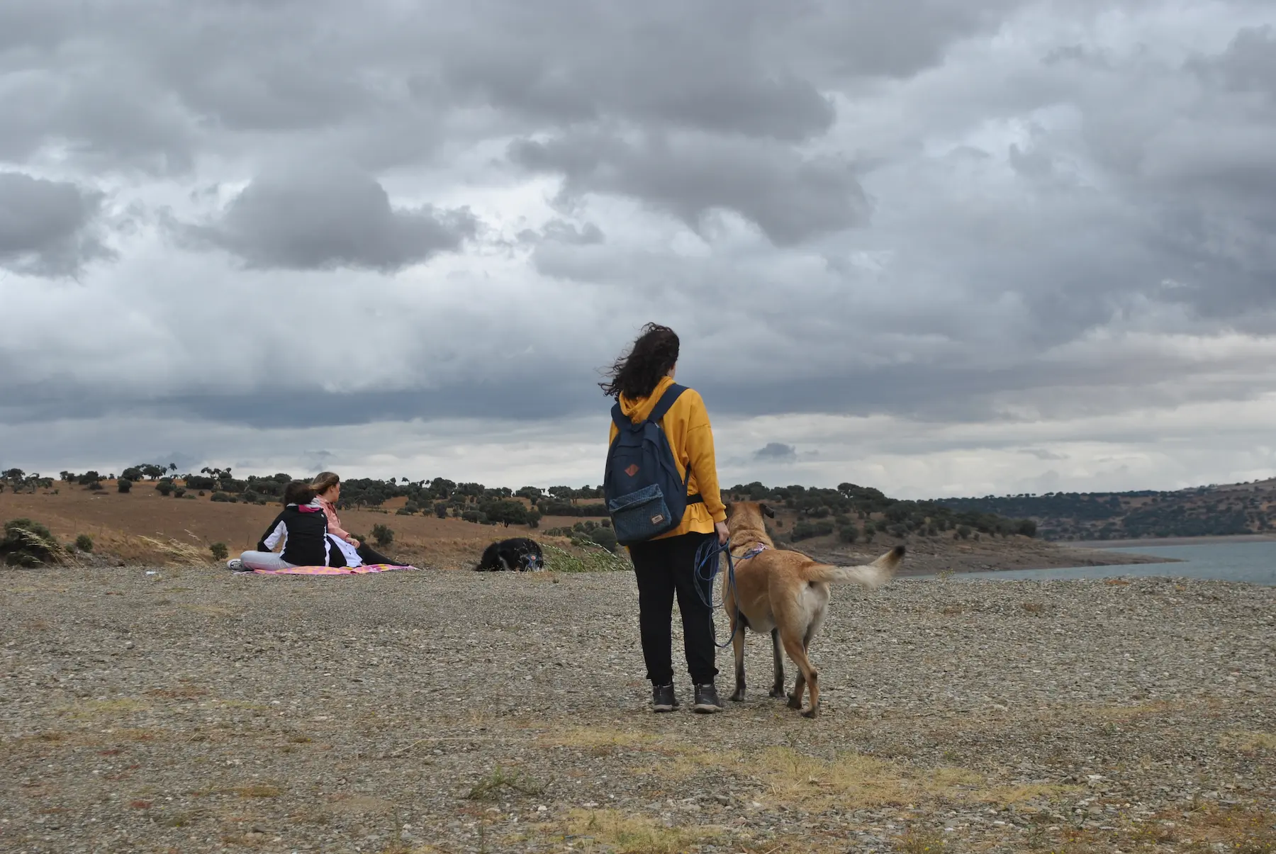 Centro educación canina en Salamanca